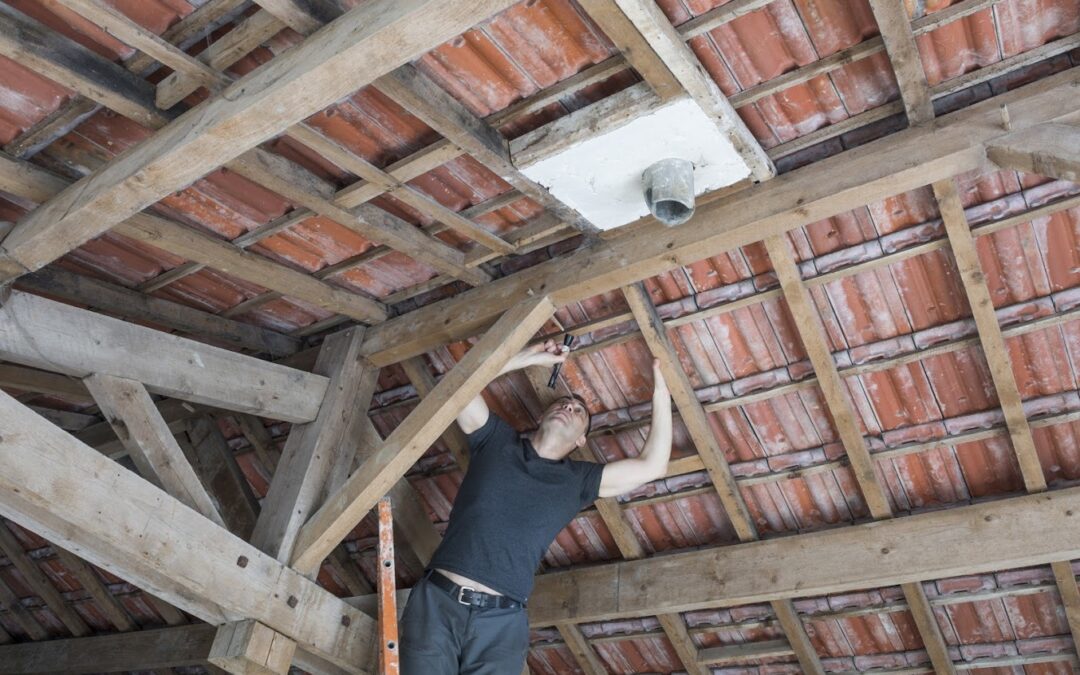 What Your Attic Says About Your Roof