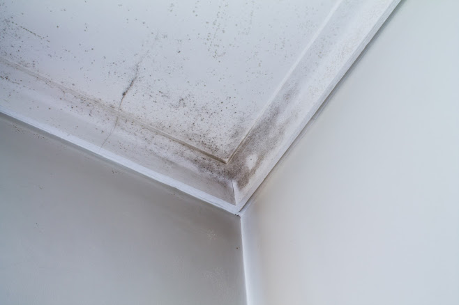 Roof Leak Versus Condensation: The Diagnosis